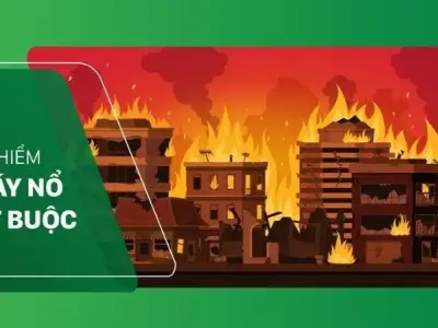 Bảo hiểm cháy nổ - Nên mua gói nào để phù hợp với nhu cầu của bạn
