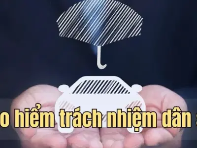 Bảo hiểm trách nhiệm dân sự - Bảo vệ bản thân khỏi rủi ro pháp lý
