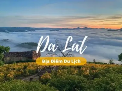 Top các điểm du lịch ở Đà Lạt bạn không nên bỏ lỡ khi đến đây