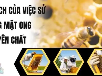 5+ mẹo hay để nhận biết mật ong pha đường 