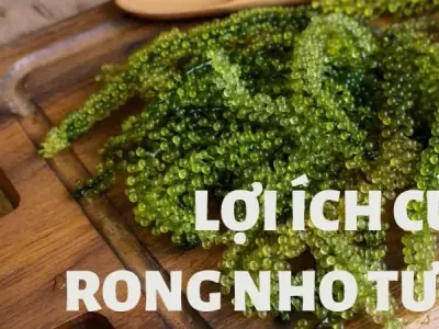 Cách nhận biết rong nho bị hỏng để đảm bảo sức khỏe