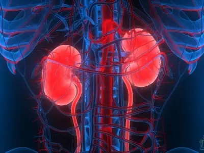 Cách nhận biết thận yếu tại nhà như thế nào? Giải đáp từ chuyên gia