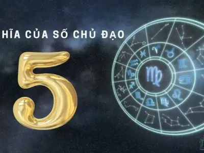 Con số chủ đạo 5 và sự nghiệp - Cách chọn nghề phù hợp cho bạn