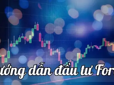 Đầu tư Forex là gì và cách thức hoạt động chi tiết nhất