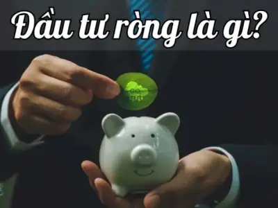 Đầu tư ròng - Chìa khóa dẫn đến thành công trong đầu tư