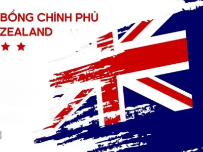 Học bổng chính phủ New Zealand 2024 - Điều kiện, quy trình và lợi ích