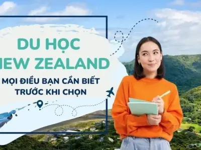 Du học New Zealand - Chi phí, học bổng và ngành học tiềm năng