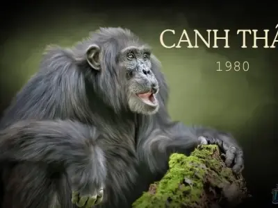 Bí kíp chọn hướng nhà may mắn, tài lộc cho gia chủ tuổi Canh Thìn 1980