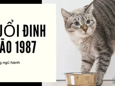 Chọn hướng nhà tuổi 1987 chuẩn xác theo ngũ hành và bát trạch