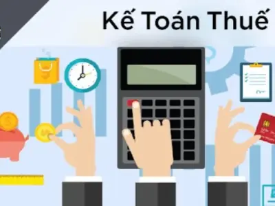 Kế toán thuế là gì? Vai trò và công việc của kế toán thuế
