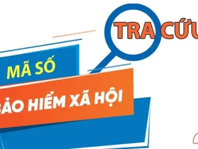 Tra cứu thông tin mã số bảo hiểm xã hội nhanh chóng và an toàn