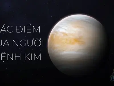 Cây phong thủy cho mệnh Kim - Thu hút vượng khí, thành đạt