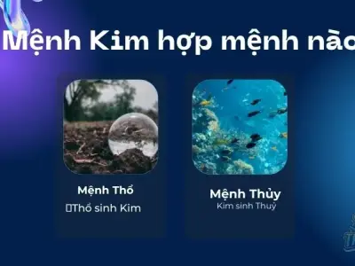 Mệnh kim hợp mệnh nào để thu hút tài lộc, phát lộc phát tài