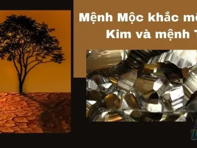 Mệnh Mộc hợp với mệnh gì? Hướng dẫn xem tương hợp phong thủy