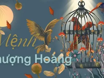 Mẹo xem tướng và phong thủy cho người mang mệnh phượng hoàng