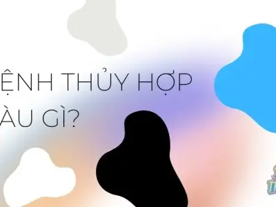 Mẹo chọn màu hợp mệnh Thủy giúp cuộc sống an yên, may mắn