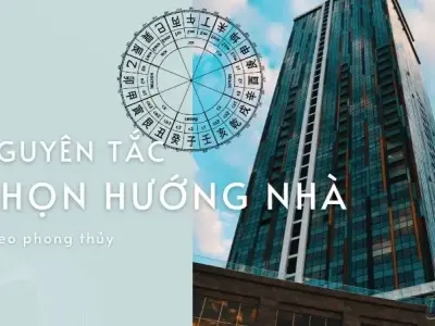 Lựa chọn hướng nhà hợp mệnh cho nam Tân Mùi 1991 thu hút vượng khí
