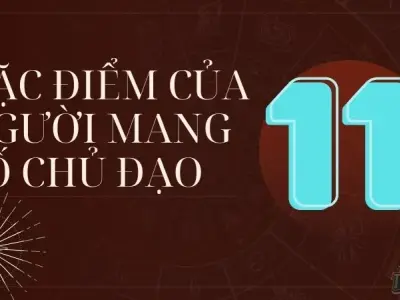 Số chủ đạo 11 phù hợp làm nghề gì để thành công trong cuộc sống