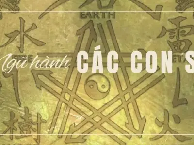 Giải mã ngũ hành các con số - Chọn số hợp mệnh, đổi đời phát tài