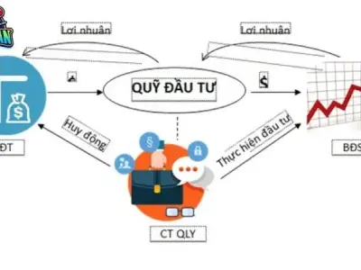 Quỹ đầu tư là gì? Khái niệm, phân loại, lợi ích và quy trình 