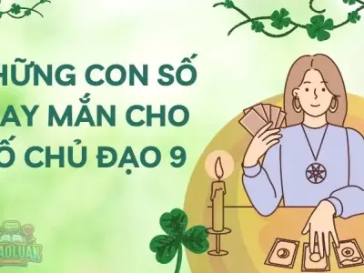 Số chủ đạo 9 hợp với số nào để hạnh phúc viên mãn 
