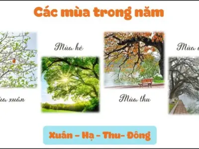 Tìm hiểu 4 mùa trong năm ở Việt Nam có gì đặc biệt?