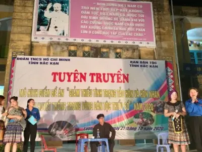 Tìm hiểu về những trường hợp tảo hôn