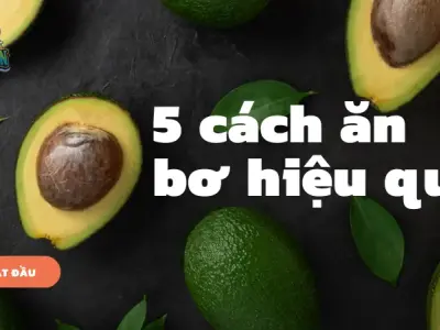 5 cách ăn bơ giảm cân giúp bạn thon gọn