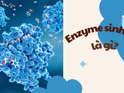 Tẩy tế bào chết enzyme có gì đặc biệt?