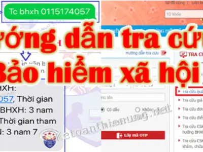 Hướng dẫn tra cứu bảo hiểm xã hội đơn giản và nhanh chóng