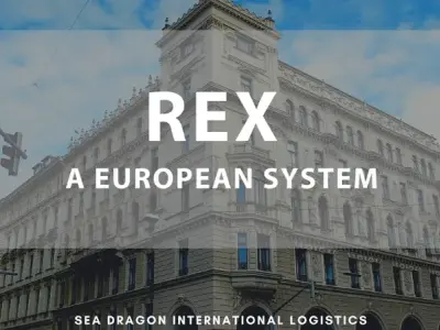 Hướng dẫn cách tra cứu mã REX nhập khẩu đơn giản và chính xác