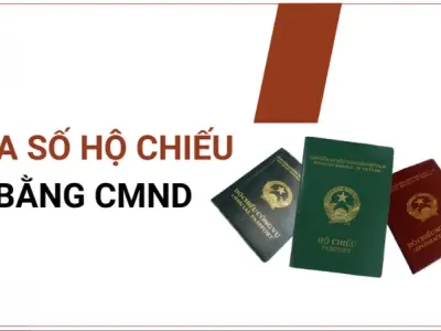 Hướng dẫn chi tiết tra cứu số hộ chiếu của bạn từ A-Z