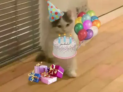 Meme chúc mừng sinh nhật siêu hài hước để gửi tặng bạn