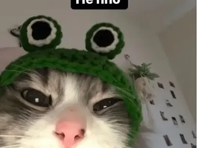 Top meme chào hài hước được yêu thích nhất mạng xã hội