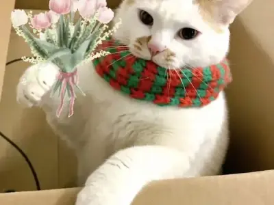 Cười té ghế với những meme tặng hoa hài hước và ngọt ngào