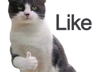 Tổng hợp meme like hài hước khiến bạn cười nghiêng ngả