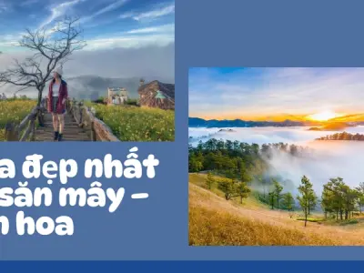Du lịch Đà Lạt 2025- Những điểm mới siêu “gây nghiện”