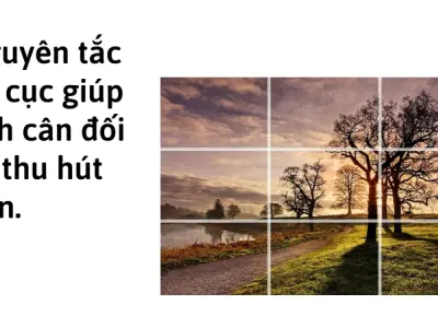 Bí quyết chụp ảnh đẹp tối ưu khung hình chuyên nghiệp