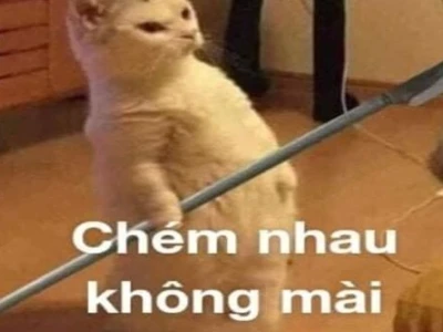 300+ Ảnh Meme Đánh Người: Biểu cảm hài hước cho mọi tình huống