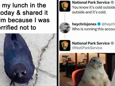 Animal Memes: Khám Phá Thế Giới Meme Động Vật Hài Hước Nhất 2026