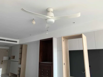 Bí quyết chọn mua quạt trần phù hợp cho mọi gia đình năm 2026