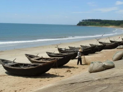 Biển Quất Lâm Nam Định: Khám phá vẻ đẹp và tiềm năng du lịch