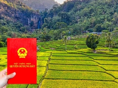 Hướng dẫn tra cứu thông tin sổ đỏ dễ dàng, an toàn năm 2026