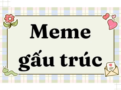 Khám phá Kho Meme Gấu Trúc Hài Hước Nhất 2026