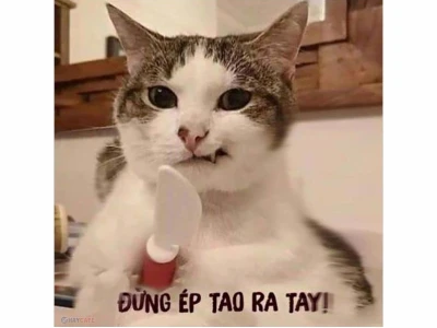 Khám phá kho meme hài gốc: Tiếng cười bất tận cho năm 2026