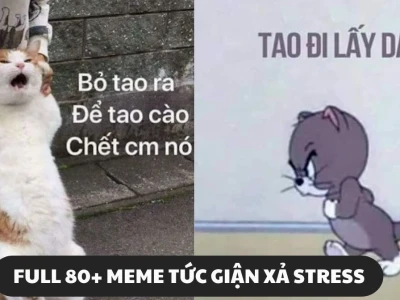 Khám Phá Thế Giới Meme Tức Giận: Biểu Cảm Hài Hước Và Chân Thực