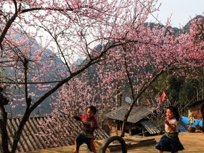 Kinh nghiệm du lịch Sapa: Trọn bộ cẩm nang cho người mới đi lần đầu