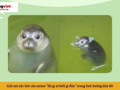 Meme 'Ai biết gì đâu': Nguồn vui bất tận trên mạng xã hội