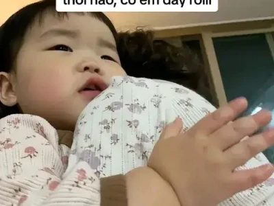 Meme An Ủi: Liều Thuốc Tinh Thần Giữa Cuộc Sống
