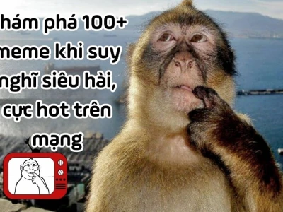 Meme con khỉ suy nghĩ: Biểu tượng hài hước và ý nghĩa trên mạng xã hội
